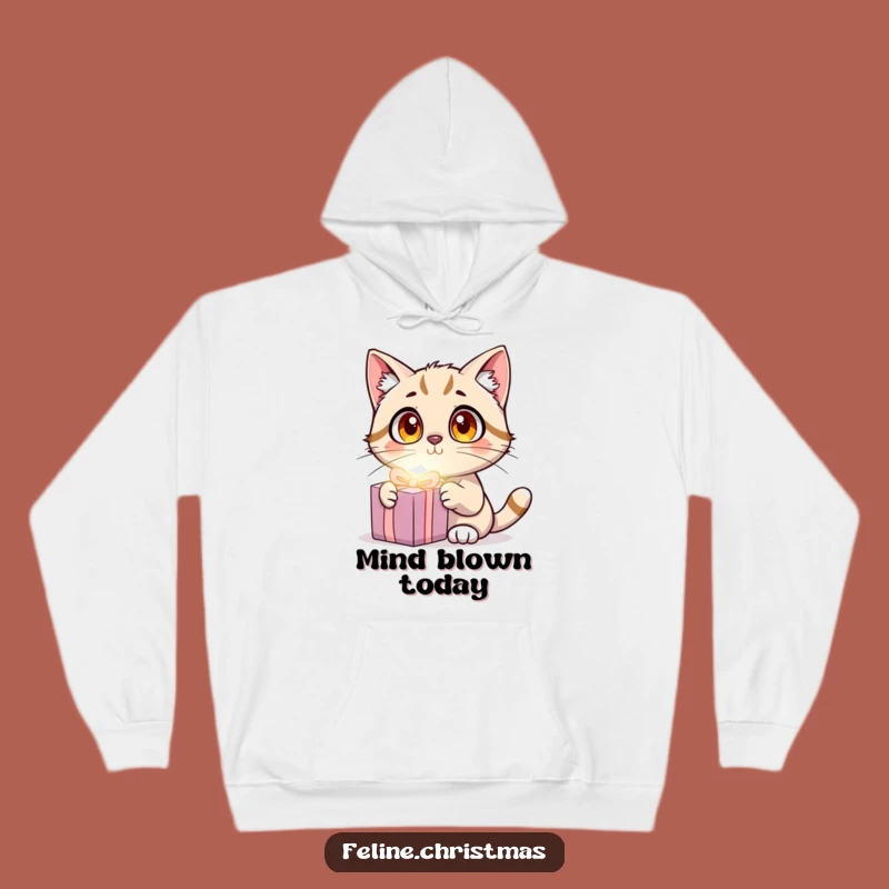 Funny Cat Surprise Hoodie: Cozy Shock with Wide-Eyed Kitty and Glowing Present